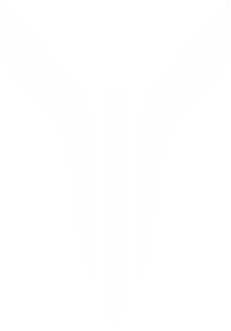 voyah logo